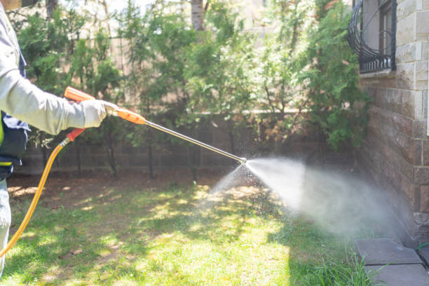 Best Pest Prevention Services  in Brown City, MI